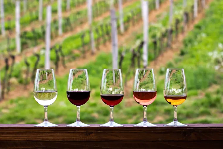 25 most expensive wines in the world 2026
