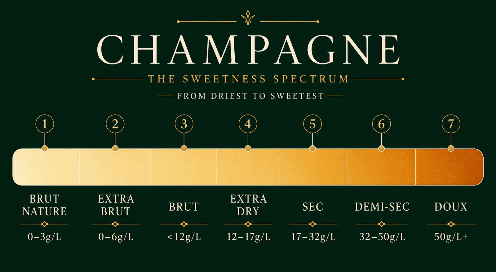 how champagne grapes sweetness and labels shape what you taste