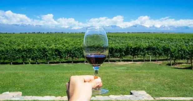Malbec Wine with Practical Steps That Work