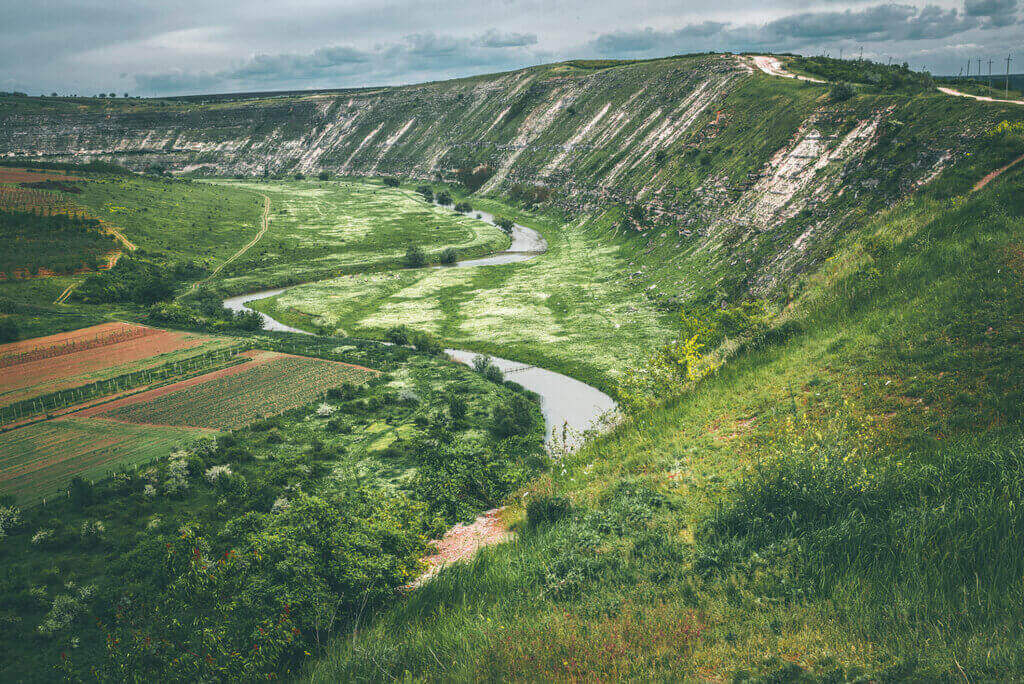 Moldova wine produce